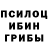 Псилоцибиновые грибы ЛСД Vaidotas Gruzauskas