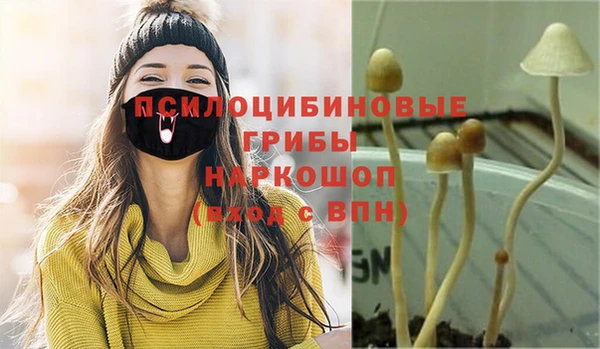 а пвп мука Алзамай