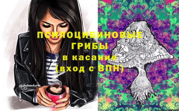 амф Алексин