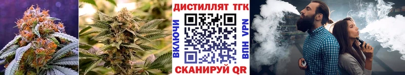 ТГК концентрат Белгород